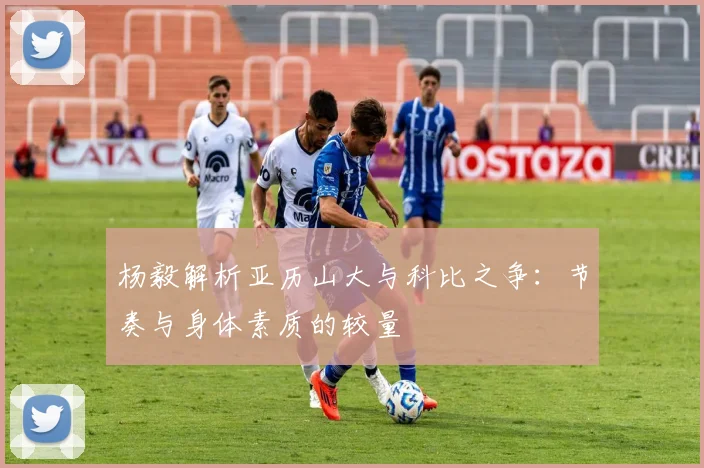 杨毅解析亚历山大与科比之争：节奏与身体素质的较量