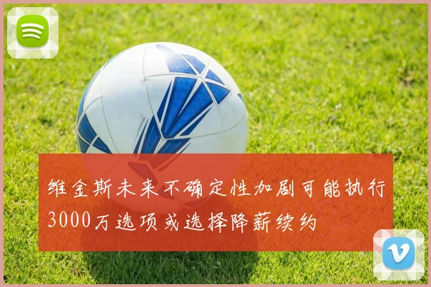 维金斯未来不确定性加剧可能执行3000万选项或选择降薪续约